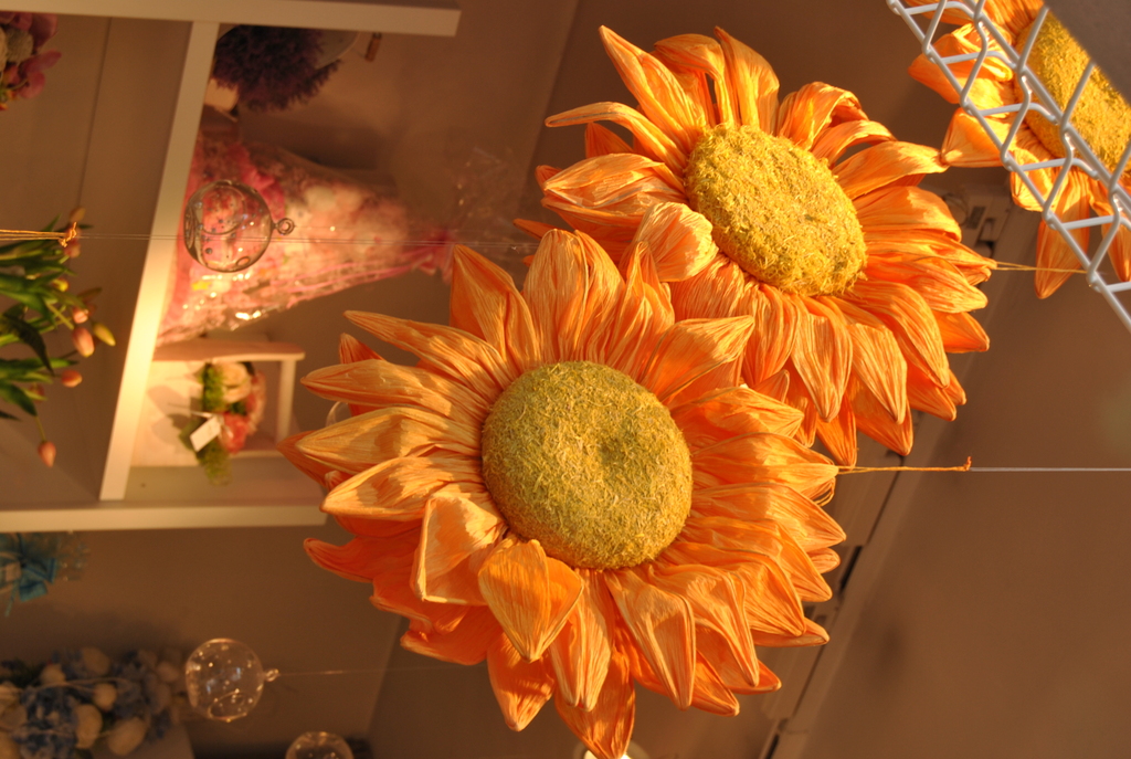 No s'ha trobat l'arxiu